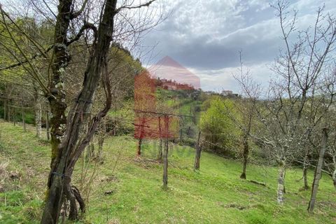 Helårsgrund i Vila Verde, Braga, Vila Verde - € 50.000 | Ref: 08877 - foto 18