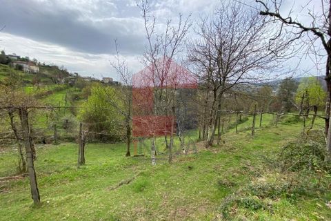 Helårsgrund i Vila Verde, Braga, Vila Verde - € 50.000 | Ref: 08877 - foto 19