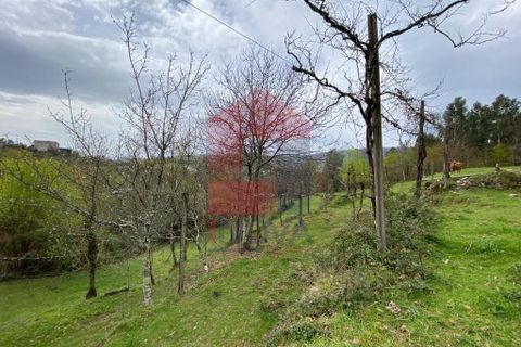 Helårsgrund i Vila Verde, Braga, Vila Verde - € 50.000 | Ref: 08877 - foto 20