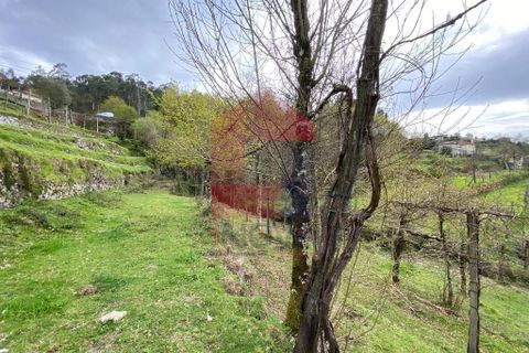 Helårsgrund i Vila Verde, Braga, Vila Verde - € 50.000 | Ref: 08877 - foto 21