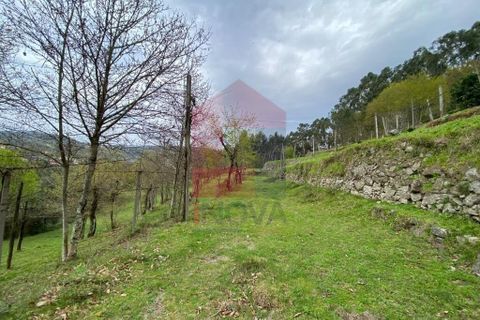 Helårsgrund i Vila Verde, Braga, Vila Verde - € 50.000 | Ref: 08877 - foto 22