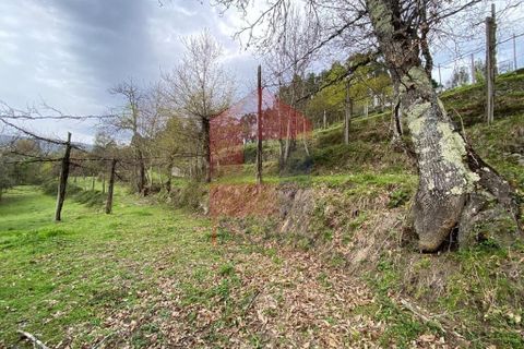 Helårsgrund i Vila Verde, Braga, Vila Verde - € 50.000 | Ref: 08877 - foto 23