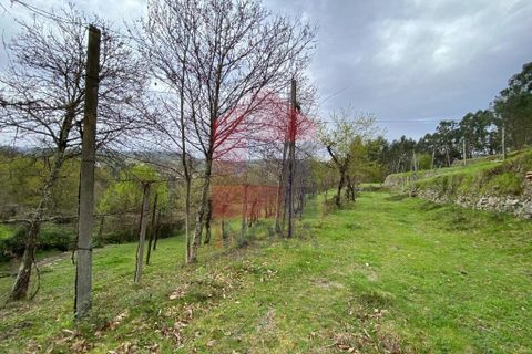 Helårsgrund i Vila Verde, Braga, Vila Verde - € 50.000 | Ref: 08877 - foto 24