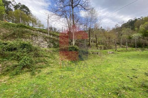 Helårsgrund i Vila Verde, Braga, Vila Verde - € 50.000 | Ref: 08877 - foto 26