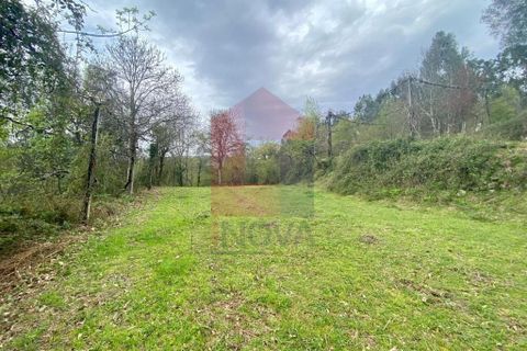 Helårsgrund i Vila Verde, Braga, Vila Verde - € 50.000 | Ref: 08877 - foto 29