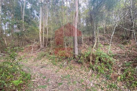 Helårsgrund i Vila Verde, Braga, Vila Verde - € 50.000 | Ref: 08877 - foto 30