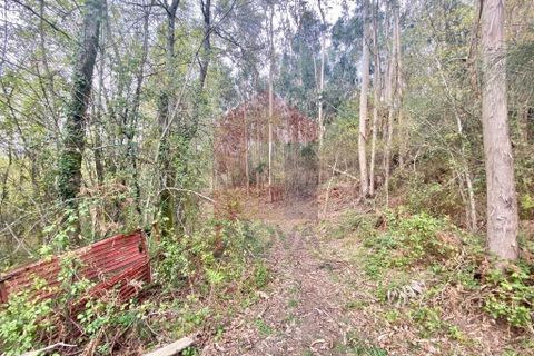 Helårsgrund i Vila Verde, Braga, Vila Verde - € 50.000 | Ref: 08877 - foto 31