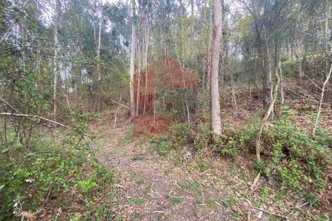 Helårsgrund i Vila Verde, Braga, Vila Verde - € 50.000 | Ref: 08877 - foto 33