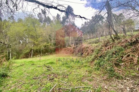 Helårsgrund i Vila Verde, Braga, Vila Verde - € 50.000 | Ref: 08877 - foto 34