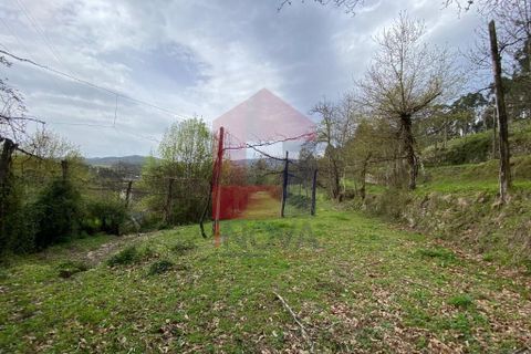 Helårsgrund i Vila Verde, Braga, Vila Verde - € 50.000 | Ref: 08877 - foto 36