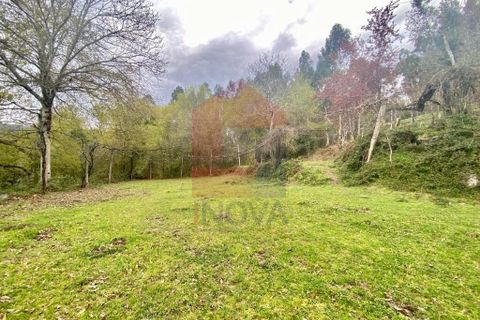 Helårsgrund i Vila Verde, Braga, Vila Verde - € 50.000 | Ref: 08877 - foto 38