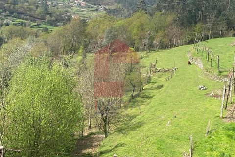 Helårsgrund i Vila Verde, Braga, Vila Verde - € 50.000 | Ref: 08877 - foto 41