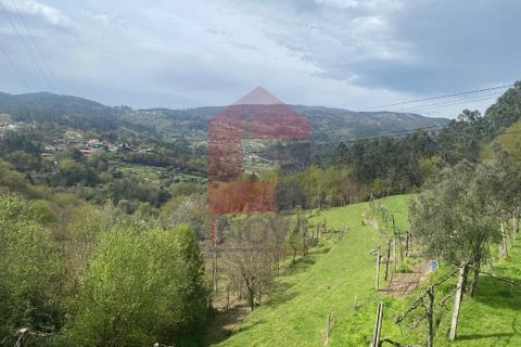 Helårsgrund i Vila Verde, Braga, Vila Verde - € 50.000 | Ref: 08877 - foto 42