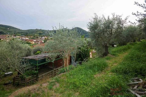 Lejlighed i Massarosa, Lucca, Massarosa - € 280.000 | Ref: MA091 - foto 3