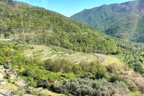 Villa a Pornassio, Imperia, Pornassio - € 250.000 | Ref: 1039 - foto 28