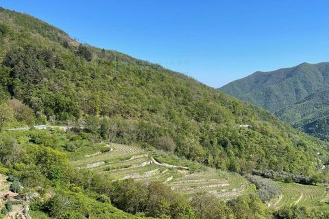Villa a Pornassio, Imperia, Pornassio - € 250.000 | Ref: 1039 - foto 37