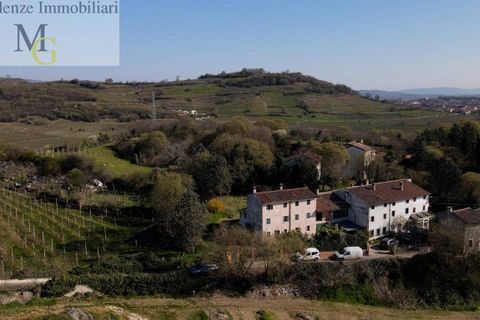 Landejendom i Soave, Verona, Soave - € 255.000 | Ref: 1389 - foto 3
