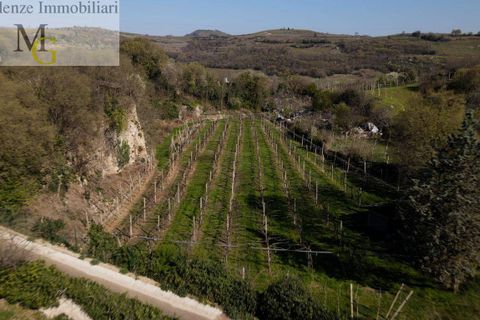 Landejendom i Soave, Verona, Soave - € 255.000 | Ref: 1389 - foto 10