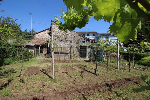 Villa a Zermeghedo, Vicenza, Zermeghedo - € 170.000 | Ref: GM2601 - foto 27