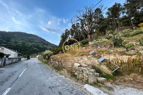 Helårsgrund i Tabuaco, Viseu, Tabuaco - € 30.000 | Ref: ONE0011026-660 - foto 2