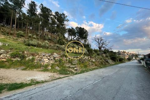 Helårsgrund i Tabuaco, Viseu, Tabuaco - € 30.000 | Ref: ONE0011026-660 - foto 3