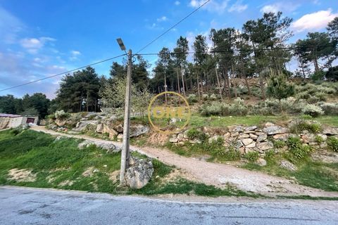 Helårsgrund i Tabuaco, Viseu, Tabuaco - € 30.000 | Ref: ONE0011026-660 - foto 5