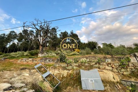 Helårsgrund i Tabuaco, Viseu, Tabuaco - € 30.000 | Ref: ONE0011026-660 - foto 6