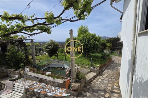Byhus i Caminha, Viana do Castelo, Caminha - € 450.000 | Ref: ONE0021067-105 - foto 35