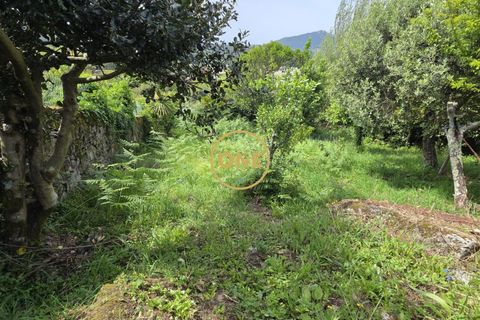 Byhus i Caminha, Viana do Castelo, Caminha - € 450.000 | Ref: ONE0021067-105 - foto 46