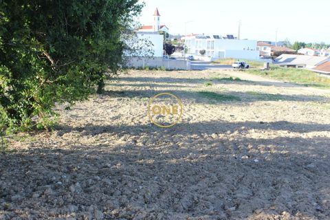Helårsgrund i Barcelos, Braga, Barcelos - € 750.000 | Ref: ONE131989-12 - foto 10