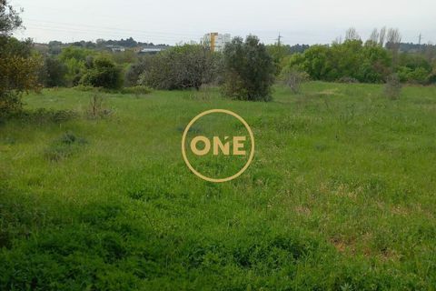 Helårsgrund i Tomar, Santarem, Tomar - € 60.000 | Ref: ONE501995-7 - foto 1