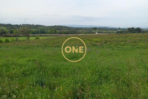 Helårsgrund i Tomar, Santarem, Tomar - € 60.000 | Ref: ONE501995-7 - foto 4
