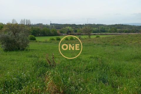 Helårsgrund i Tomar, Santarem, Tomar - € 60.000 | Ref: ONE501995-7 - foto 5