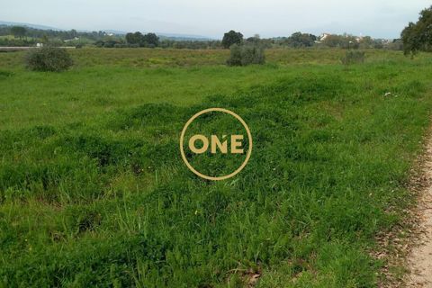 Helårsgrund i Tomar, Santarem, Tomar - € 60.000 | Ref: ONE501995-7 - foto 6
