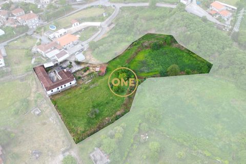 Farm i Santo Tirso, Porto, Santo Tirso - € 1.100.000 | Ref: ONE0011859-26 - foto 2