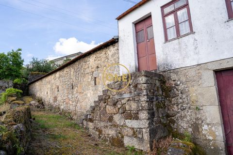 Farm i Santo Tirso, Porto, Santo Tirso - € 1.100.000 | Ref: ONE0011859-26 - foto 4