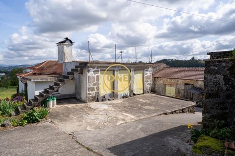 Farm i Santo Tirso, Porto, Santo Tirso - € 1.100.000 | Ref: ONE0011859-26 - foto 7