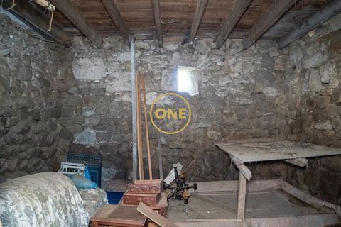 Farm i Santo Tirso, Porto, Santo Tirso - € 1.100.000 | Ref: ONE0011859-26 - foto 10