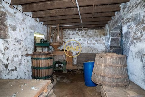 Farm i Santo Tirso, Porto, Santo Tirso - € 1.100.000 | Ref: ONE0011859-26 - foto 11