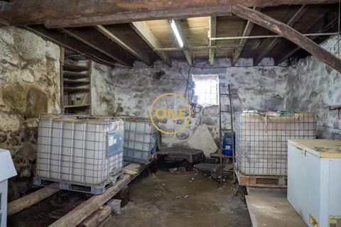 Farm i Santo Tirso, Porto, Santo Tirso - € 1.100.000 | Ref: ONE0011859-26 - foto 13