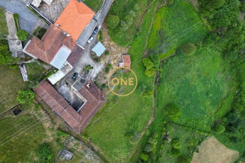 Farm i Santo Tirso, Porto, Santo Tirso - € 1.100.000 | Ref: ONE0011859-26 - foto 19