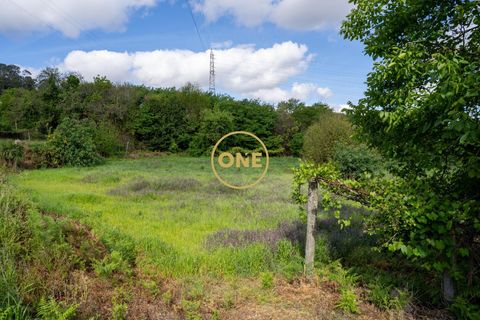 Farm i Santo Tirso, Porto, Santo Tirso - € 1.100.000 | Ref: ONE0011859-26 - foto 20