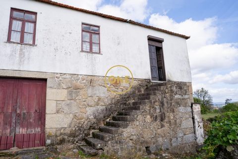 Farm i Santo Tirso, Porto, Santo Tirso - € 1.100.000 | Ref: ONE0011859-26 - foto 21
