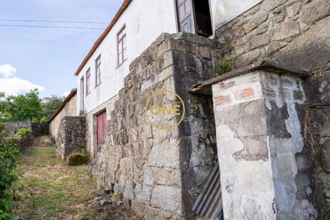 Farm i Santo Tirso, Porto, Santo Tirso - € 1.100.000 | Ref: ONE0011859-26 - foto 23