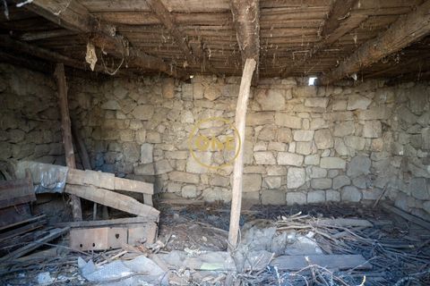Farm i Santo Tirso, Porto, Santo Tirso - € 1.100.000 | Ref: ONE0011859-26 - foto 26