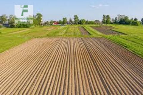 Helårsgrund i Curtarolo, Padua, Curtarolo - € 55.000 | Ref: 807 - foto 1
