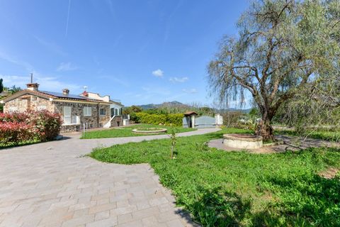 Villa i Capoliveri, Livorno, Capoliveri - € 990.000 | Ref: CBI123-1456-252 - foto 32