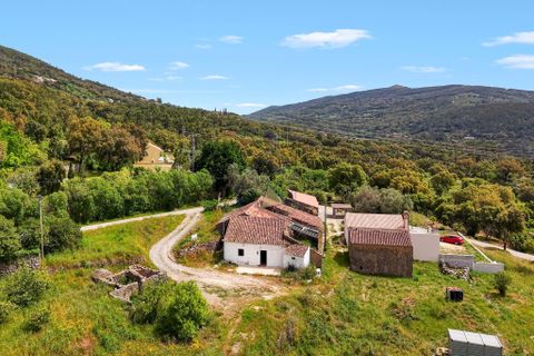 Farm hus i Monchique, Faro, Monchique - € 350.000 | Ref: JE040 MO - foto 1