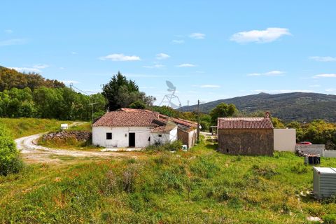 Farm hus i Monchique, Faro, Monchique - € 350.000 | Ref: JE040 MO - foto 4