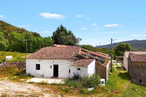 Farm hus i Monchique, Faro, Monchique - € 350.000 | Ref: JE040 MO - foto 11